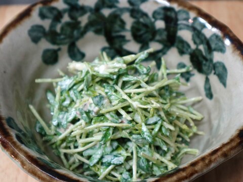 簡単！生で美味しい豆苗のシーザーズサラダ